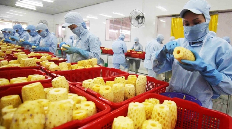 Enhancing competitiveness of small and medium enterprises in the agricultural sector